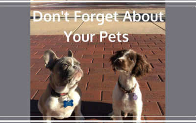 Top 5 Tips To Make Moving With Pets Easy