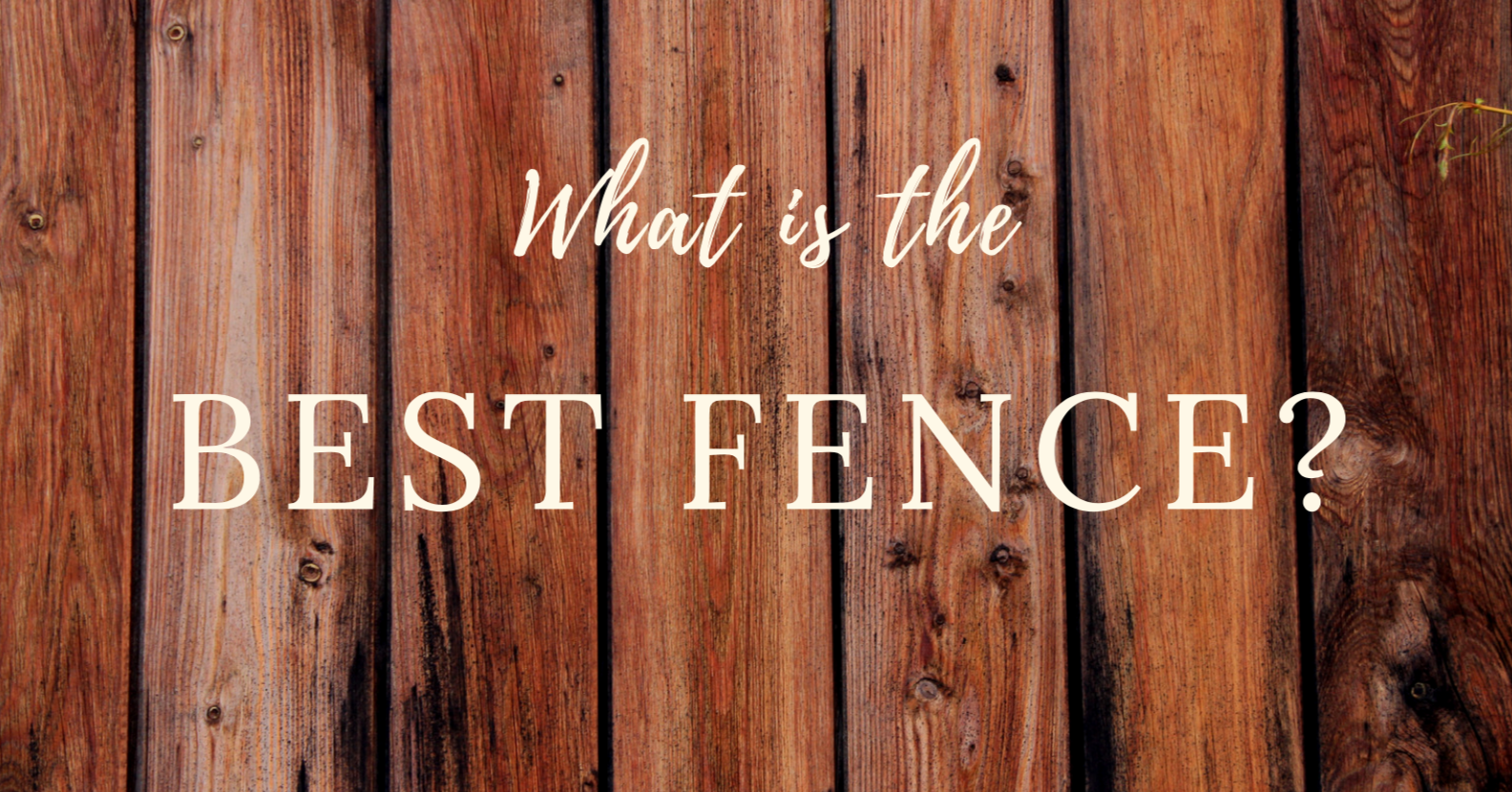What is the Best Fence?