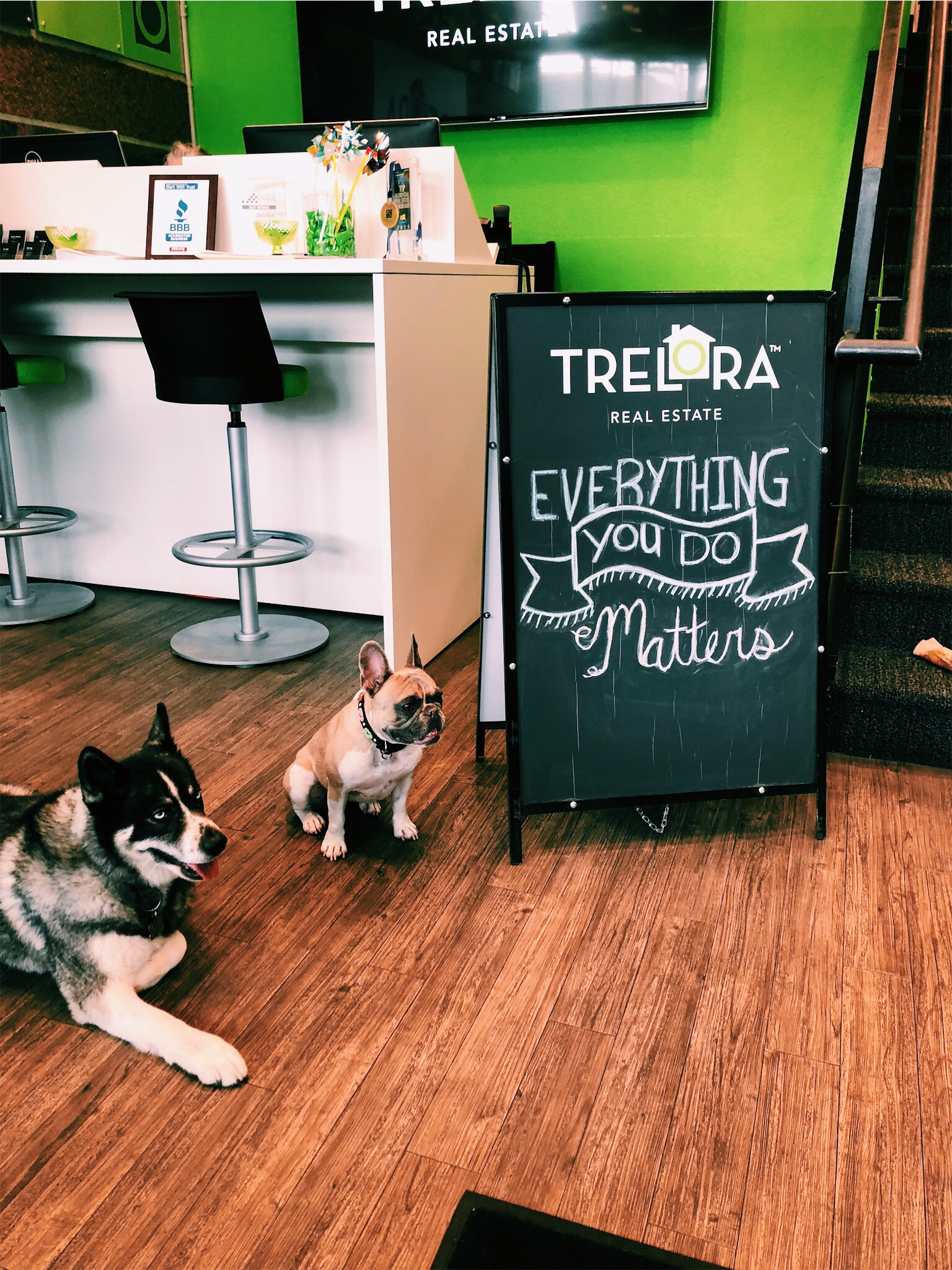 TRELORA loves dogs