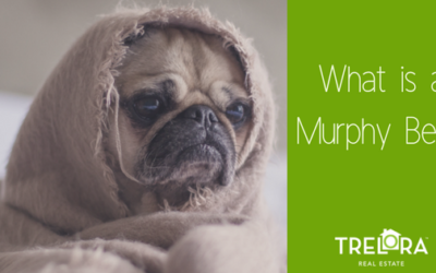 What Is a Murphy Bed?