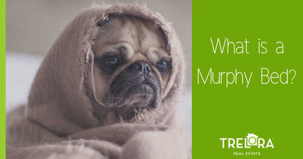 What Is a Murphy Bed?