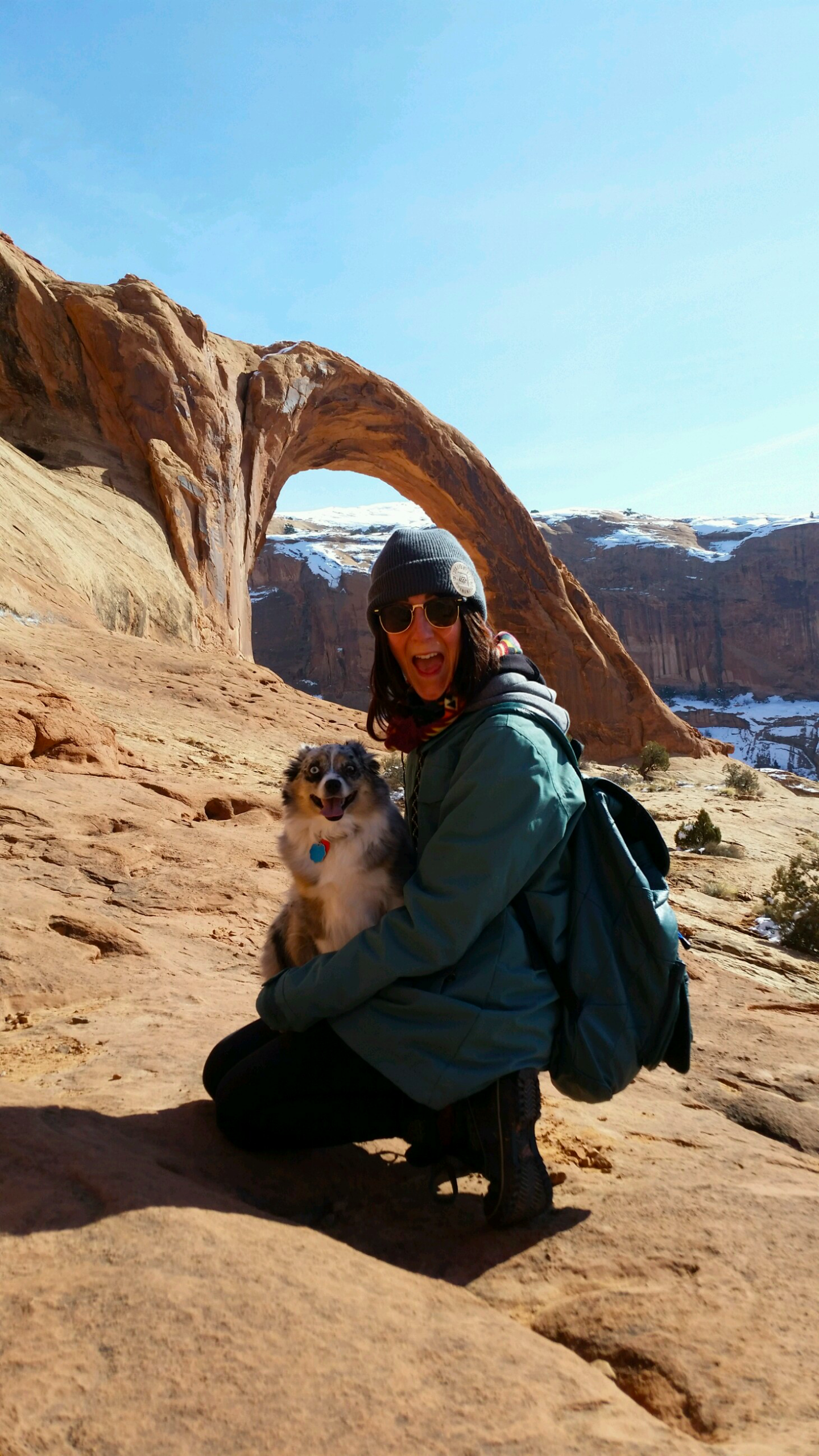 dogs on hikes