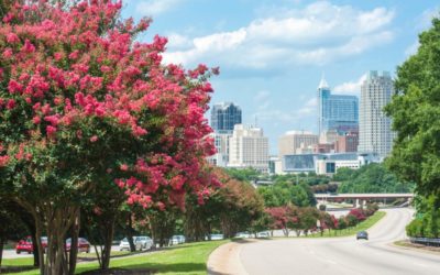 The Best Neighborhoods in Raleigh