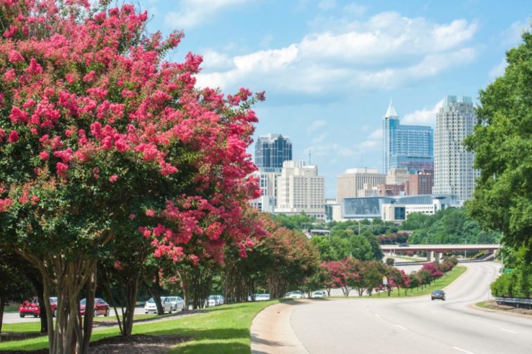The Best Neighborhoods in Raleigh Trelora Real Estate